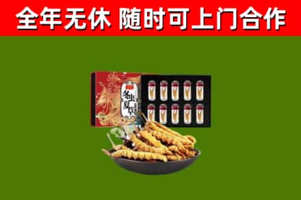 吉林省回收冬虫夏草价格